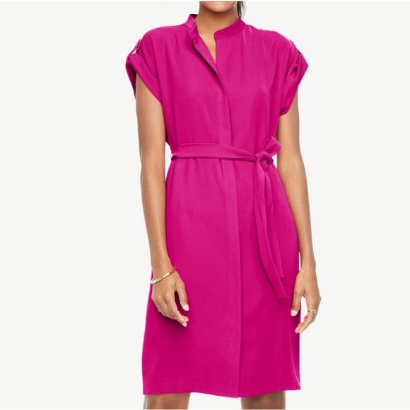 Ann Taylor Magenta Pink Short Sleeve Tie Shirtdress Dress Small - Picture 1 of 9